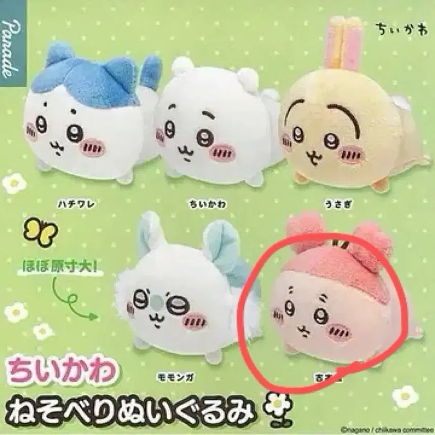 [BUNJANG] Chiikawa Nesoberi Gacha Plush Doll Kani (Unsealed) / 치이카와 네소베리 가챠 인형 카니 미개봉