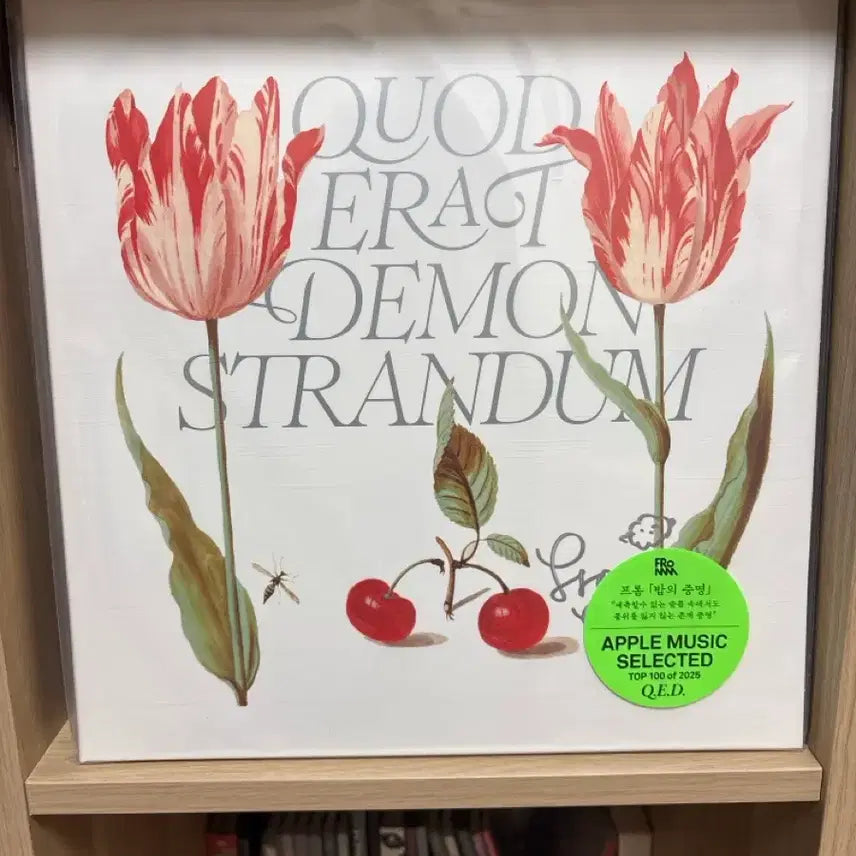[BUNJANG] Fromm Q.E.D LP Sealed Signed Album / Fromm 프롬 Q.E.D LP 미개봉 사인반