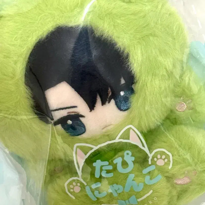 [BUNJANG] Attack on Titan Levi Tappynanco Plush Doll / 리바이 타피냥코 누이 인형 진격의거인 진격거