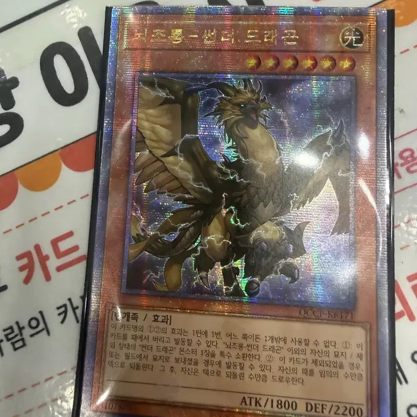 [BUNJANG] Yu-Gi-Oh! Thunder Dragon Card / 뇌조롱 썬더 드래곤 유희왕 카드