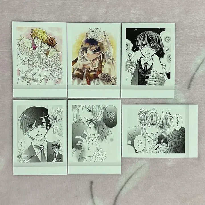 [BUNJANG] Ouran High School Host Club Tamaki Haruhi Original Art Pashacolle Card Set 1 / 오란고교 호스트부 사교클럽 타마키 하루히 원화 파샤코레 카드 1탄