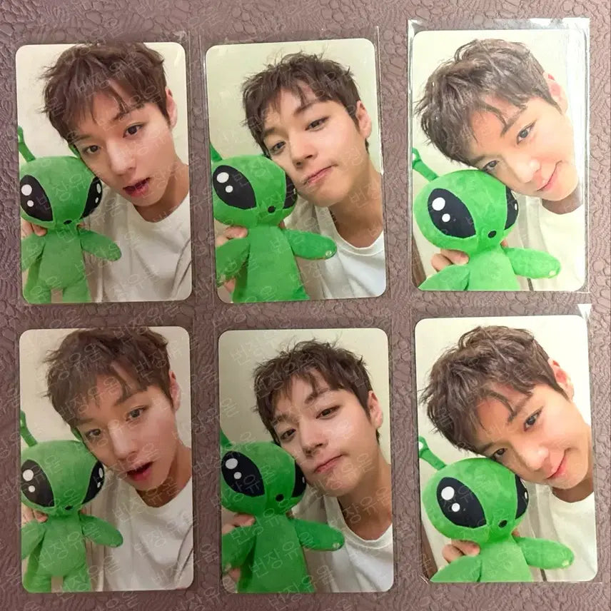 [BUNJANG] Park Jihoon &