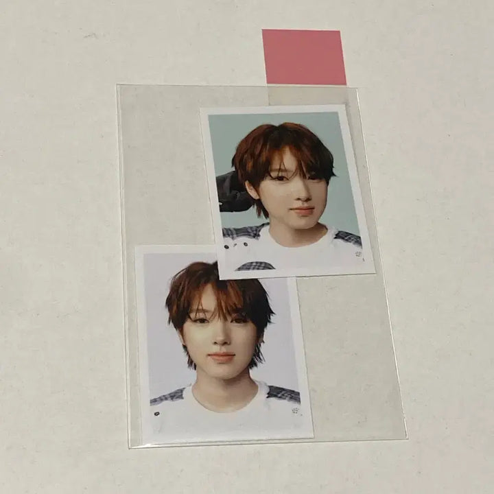 [BUNJANG] NCT WISH Sakuya Photocard Bundle Set / 엔시티위시 사쿠야 포토카드+증사 일괄 판매합니다