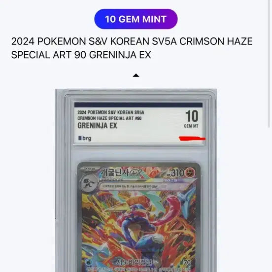 [SOLD OUT] 크림슨 헤이즈 개굴닌자 sar brg10