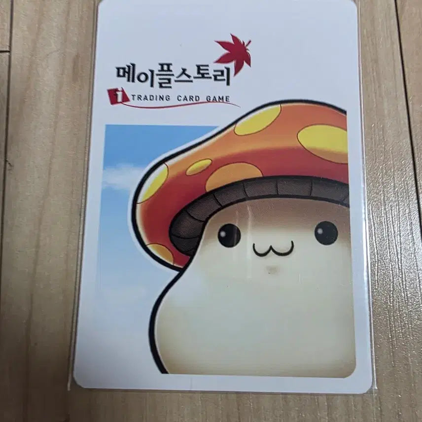 [BUNJANG] MapleStory iTCG Dark Night Card / (메이플스토리 iTCG) 적야 카드 팝니다-