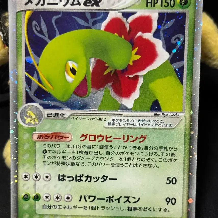 [BUNJANG] Pokemon Card Japanese Meganium ex 1st Edition 003/016 / [포켓몬카드] 일판 메가니움 ex 1ED 003/016 판매합니다