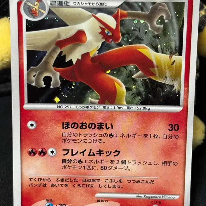 [BUNJANG] Pokemon Card Blaziken Holo DPBP
