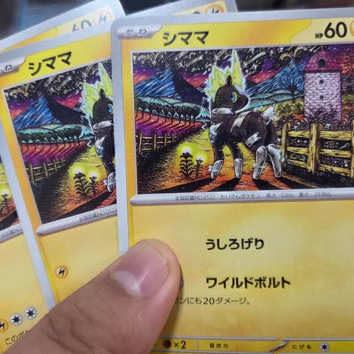 [BUNJANG] Pokemon Card Shinji Kanda Illustration / Komiya Illustration / 포켓몬 카드 신지칸다 일러와 코미야 일러 판매합니다~!!