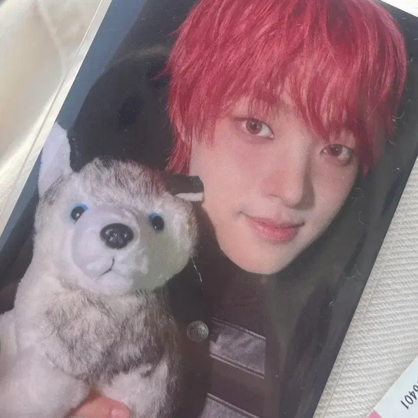 [BUNJANG] ENHYPEN Jay BLAZE THE WAY Tour Leezon Photocard / 앤팀 의주 BLAZE THE WAY 투어 르네존 포카 양도