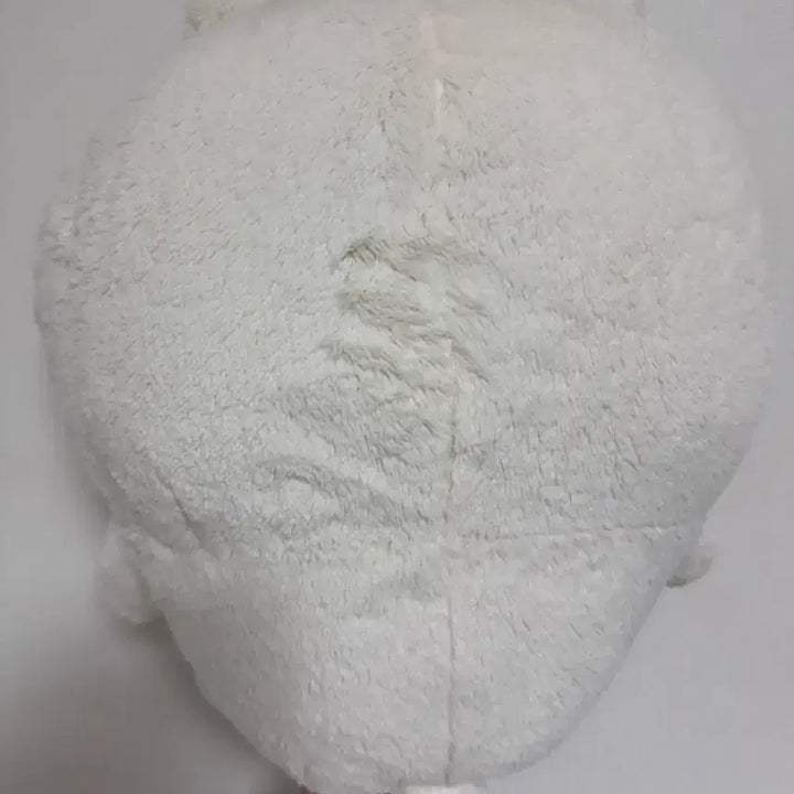 [SOLD OUT] 나가노 쿠지 농담곰 B상 개봉전시