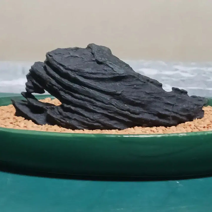 [BUNJANG] Choco Sedimentary Stone (Penetration Stone) / 수석(관통석)