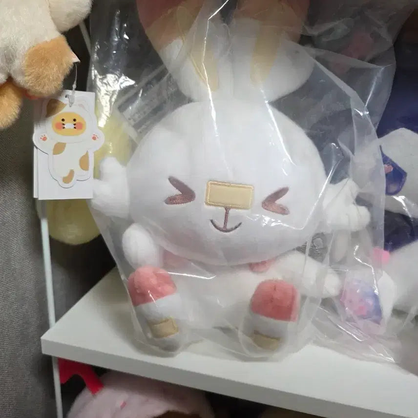 [BUNJANG] Pokemon Pokepi&