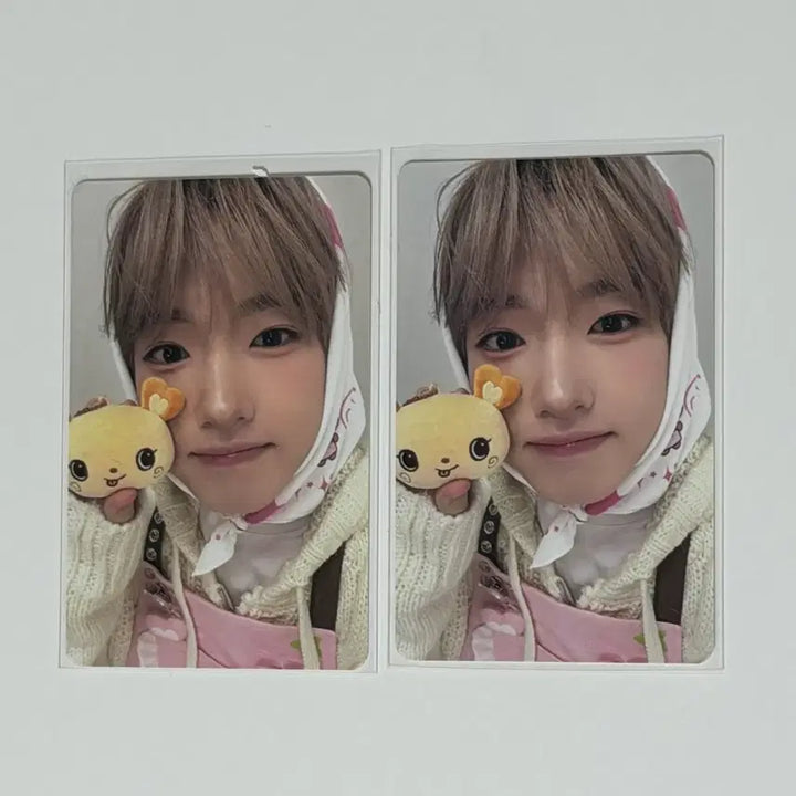 [BUNJANG] NCT WISH Sakuya Bakery Popup POB Photocard / 엔시티 위시 사쿠야 베이커리 팝업 7만원 포카 특전