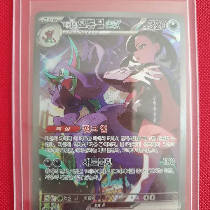 [BUNJANG] Megadreamex Pokemon Card Mari&
