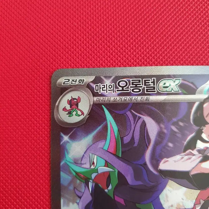 [BUNJANG] Megadreamex Pokemon Card Mari&
