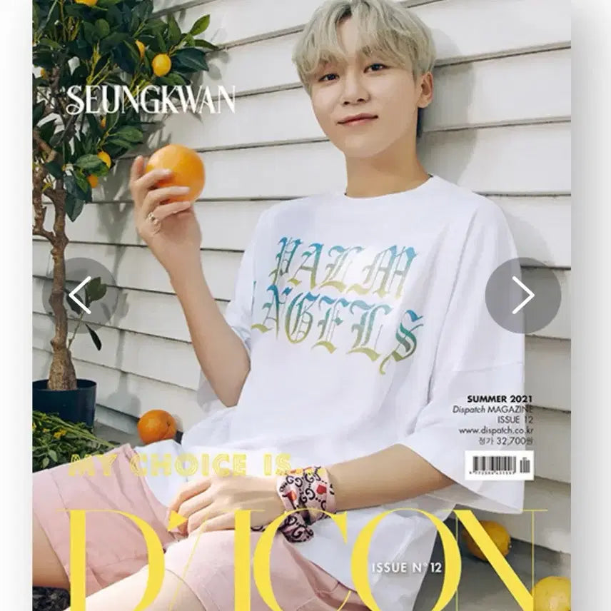 [BUNJANG] SEVENTEEN Seungkwan DICON Special Edition Photocard / 세븐틴 승관 디아이콘 스페셜 에디션