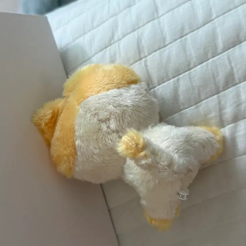 [BUNJANG] SHINee Taemin Tamnyangi Cheese Nyangi Stress Ball Bundle Set / 샤이니 태민 탬냥이 치즈냥 스트레스볼 일괄