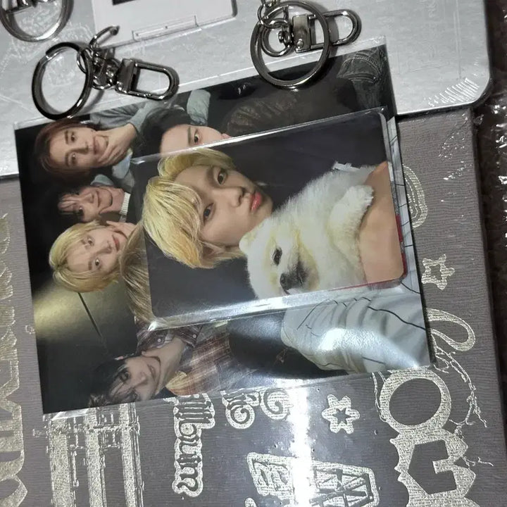 [BUNJANG] BOYNEXTDOOR Sealed Album + Weverse POB Set / 보이넥스트도어 미개봉 앨범 + 위버스 특전 양도