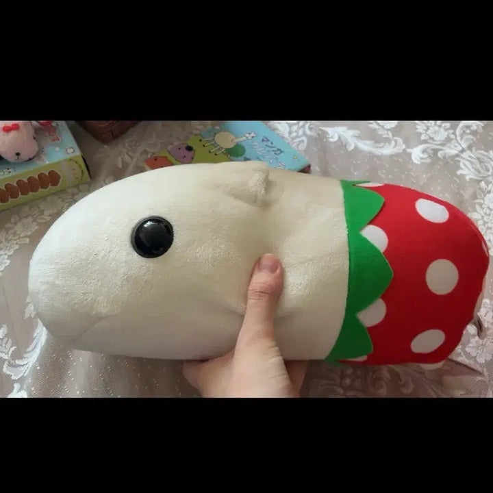 [BUNJANG] Capybara &