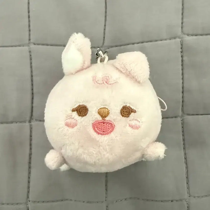 [BUNJANG] DAY6 Petit Merz Four-Legged Walk Phil Photocard / 데이식스 쁘띠멀즈 사족보행 필