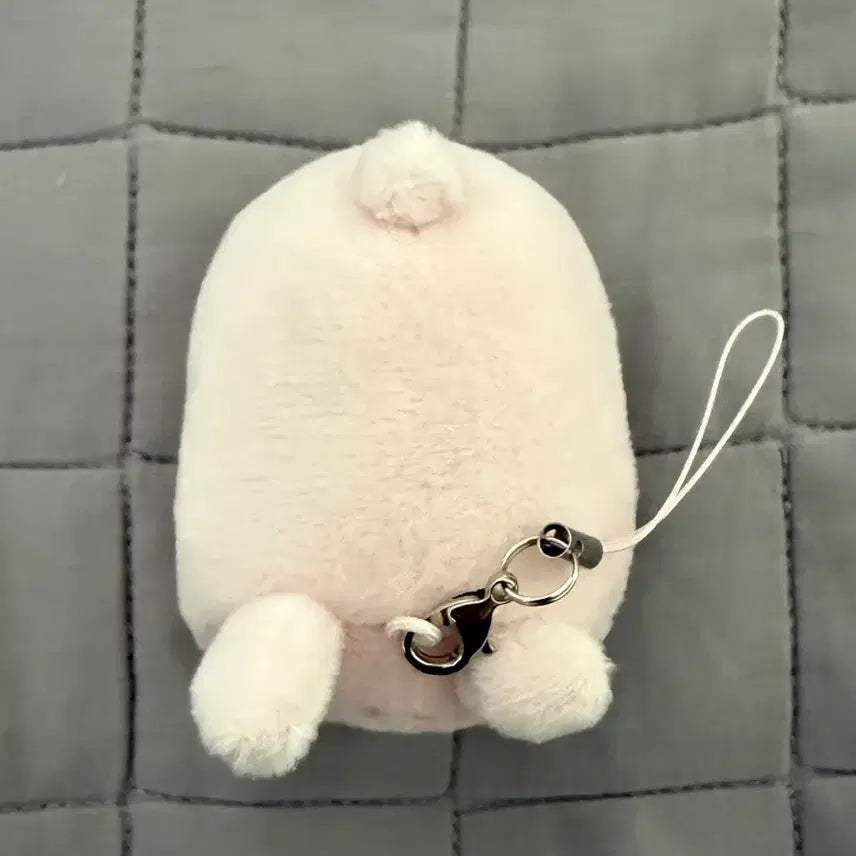 [BUNJANG] DAY6 Petit Merz Four-Legged Walk Phil Photocard / 데이식스 쁘띠멀즈 사족보행 필