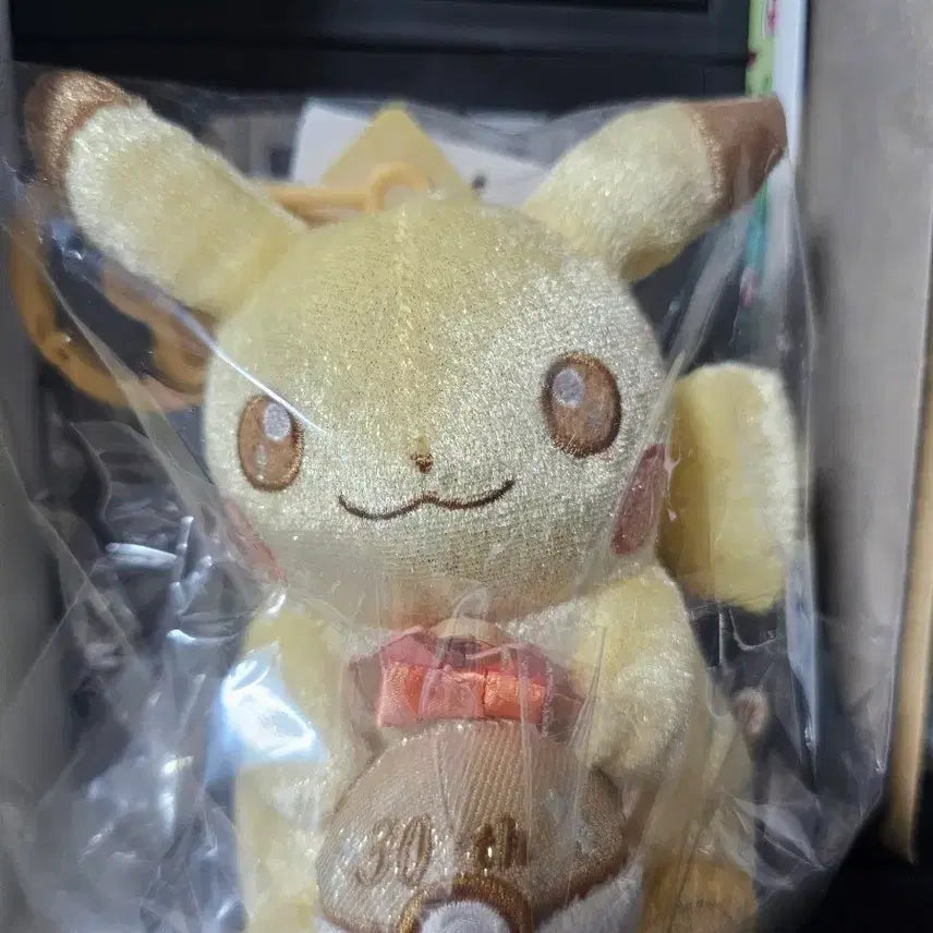 [BUNJANG] Pokemon Pikachu 30th Anniversary Limited Edition Keychain / 포켓몬스터 피카츄 30주년 기념 키링