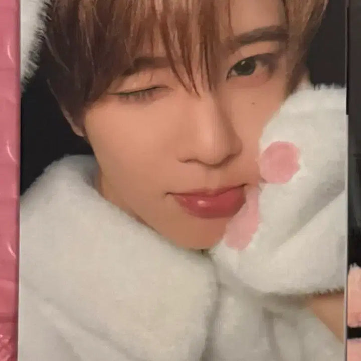 [BUNJANG] NCT WISH Melon Animal Pajamas Sion Photocard / 엔시티위시 멜론 melon 동물잠옷 시온 sion 포카 판매 sell
