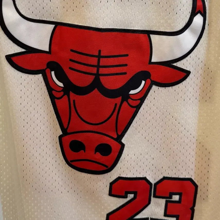 [BUNJANG] Mitchell &amp; Ness Chicago Bulls 97-98 Finals Michael Jordan 