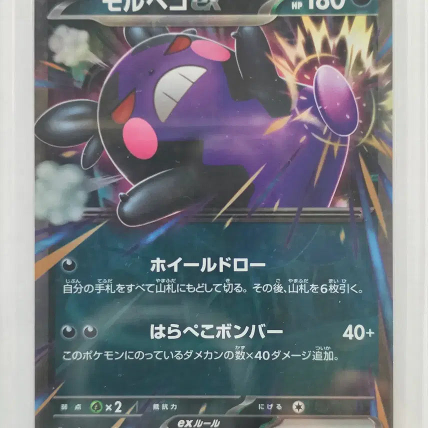 [BUNJANG] Pokemon Card Morpeko EX Japanese RR 053/081 / 포켓몬 카드 모르페코 EX 일판 rr 053/081