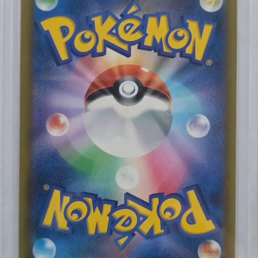 [BUNJANG] Pokemon Card Morpeko EX Japanese RR 053/081 / 포켓몬 카드 모르페코 EX 일판 rr 053/081