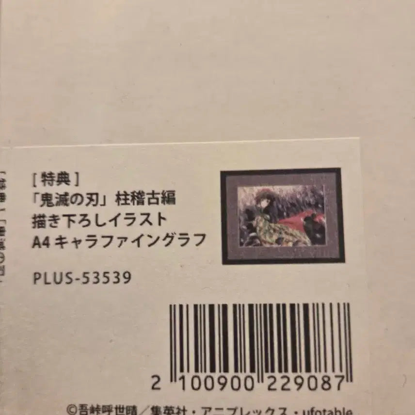 [BUNJANG] Demon Slayer: Kimetsu no Yaiba Giyu Tomioka A4 Fine Graph / 귀멸의 칼날 토미오카 기유 A4파인그래프