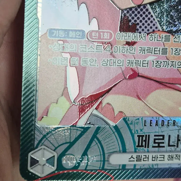 [SOLD OUT] 페로나 리더페레