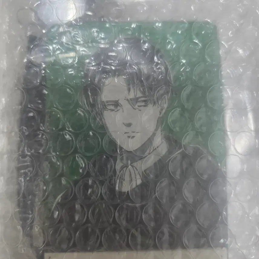 [BUNJANG] Attack on Titan Levi Rivaille Armi Bianca Illustration Leather Card Case / [고전] 진격의 거인 아르마비앙카 일러스트 가죽 카드 케이스 리바이