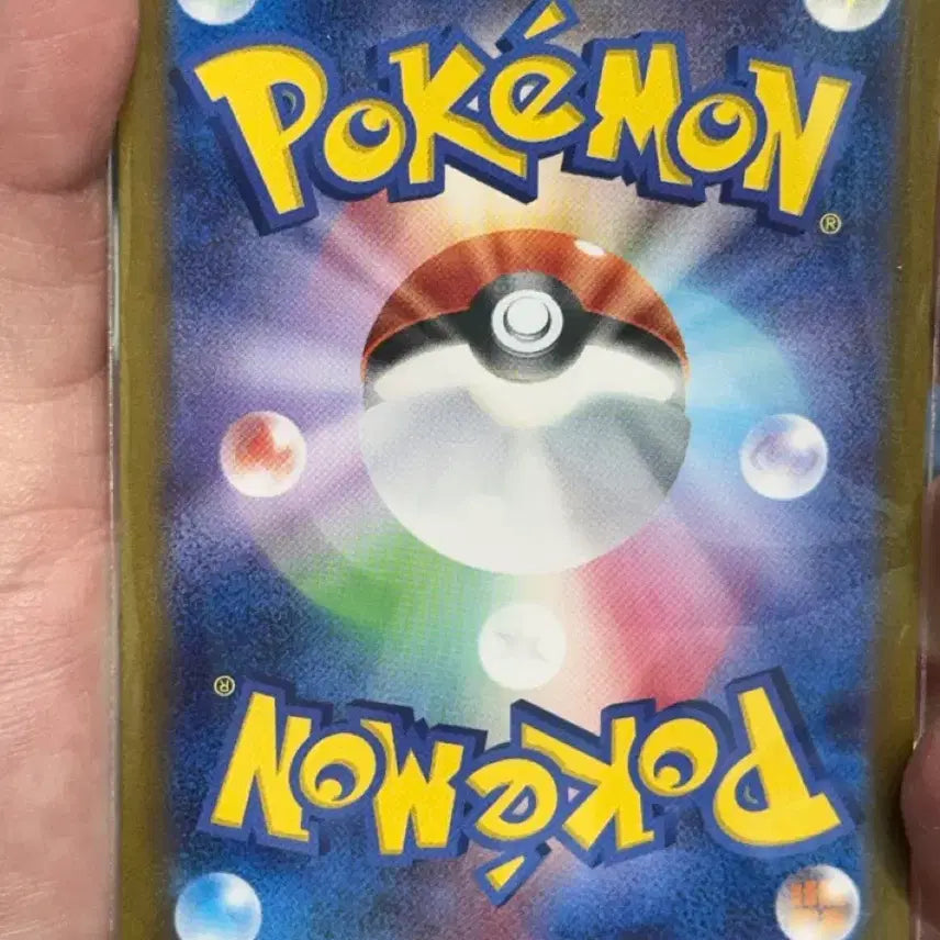 [BUNJANG] Pokemon Card Dohi&