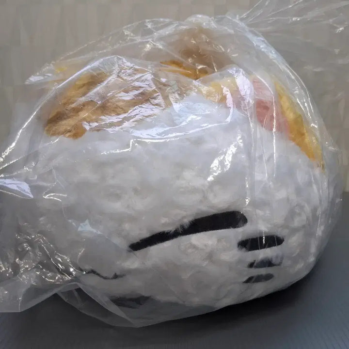 [BUNJANG] Nemuneko Plush Doll / 네무네코