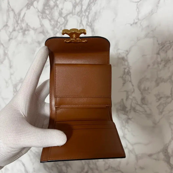 [BUNJANG] Celine Triomphe Wallet / [OS] 셀린느 트리옹프 지갑