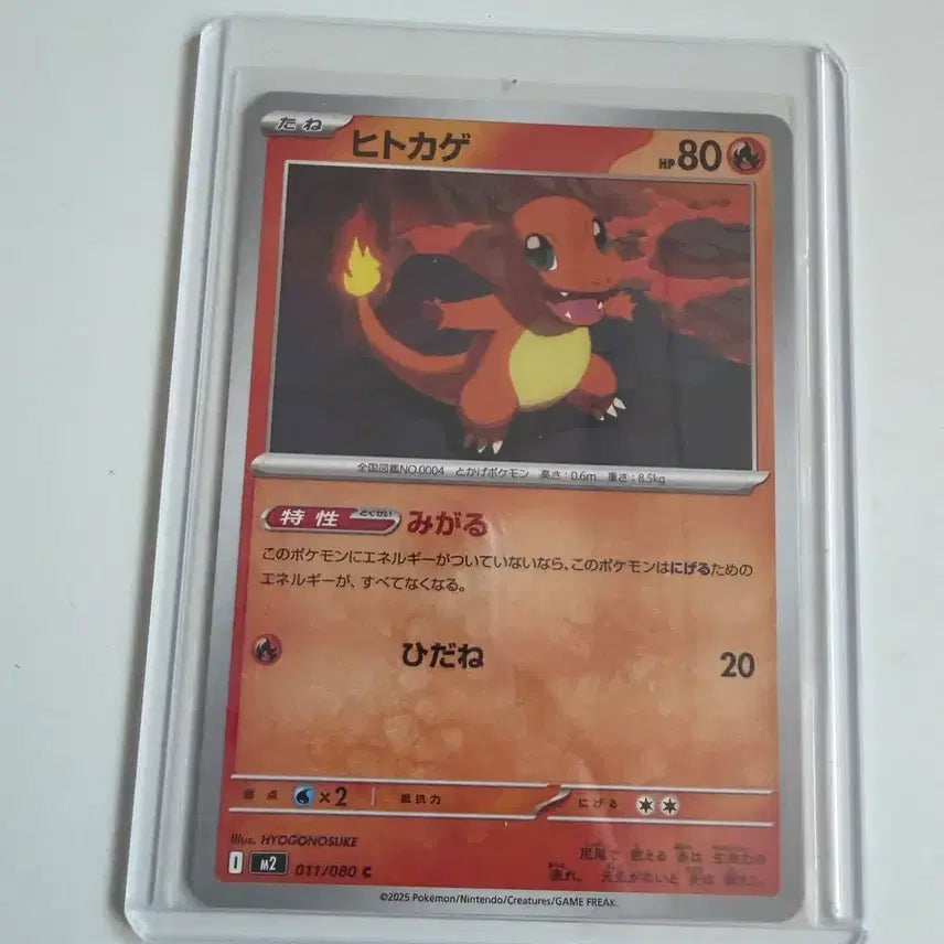 [BUNJANG] Charizard Squirtle Pokemon Card Japanese / 파이리 꼬북이 일판  포켓몬스터 카드