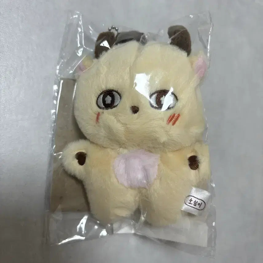 [BUNJANG] Park Ji Hoon "So-sim-i" Plush Doll (Sealed) / 박지훈 소심이 미개봉 양도합니다