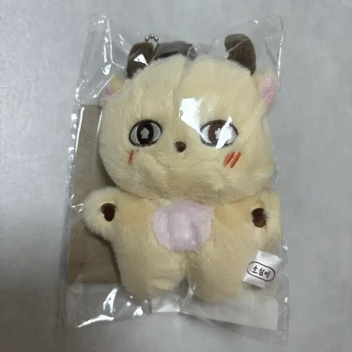 [BUNJANG] Park Ji Hoon "So-sim-i" Plush Doll (Sealed) / 박지훈 소심이 미개봉 양도합니다