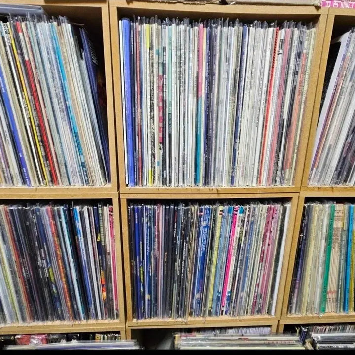 [BUNJANG] Pop, Rock, Metal, Jazz, Classic, City Pop Imported Vinyl Records Collection / LP 대량 정리 판매