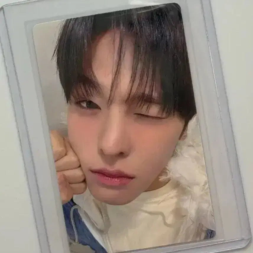 [BUNJANG] Riku Jump Up Odd to Love Photocard / 리쿠 점프업 미공포 오드투러브 포카 포토카드 위시 쿠잉 포즈
