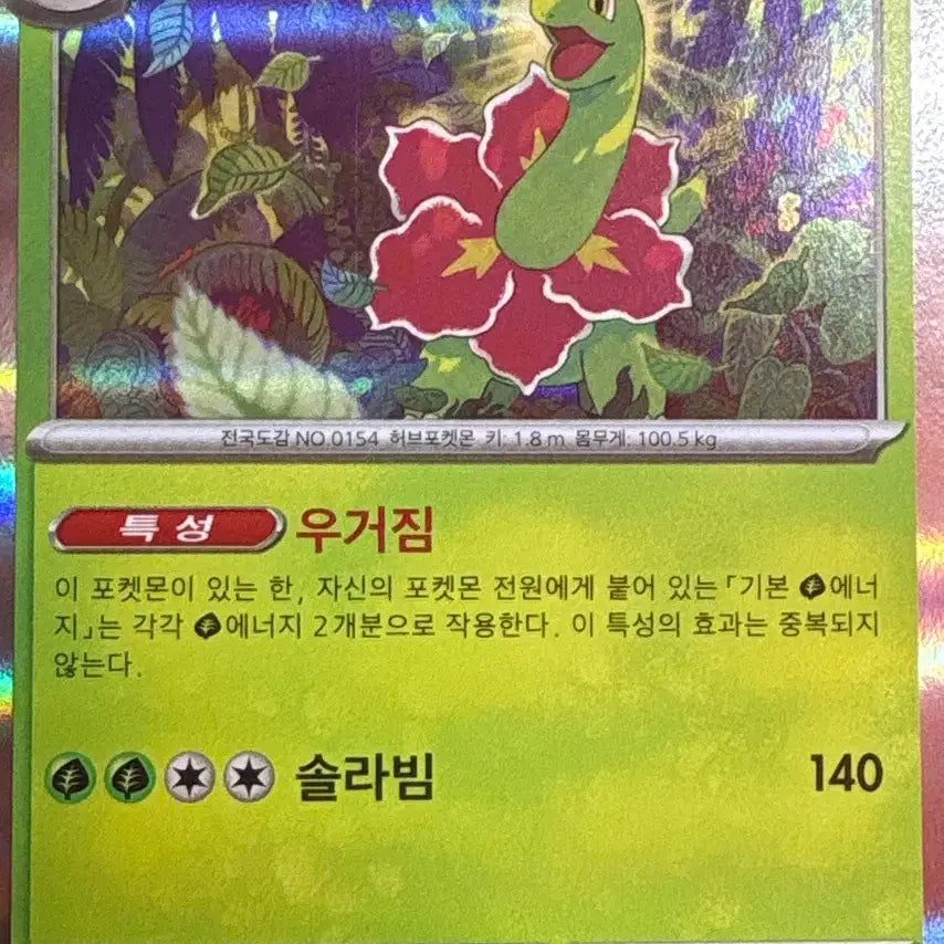 [BUNJANG] Meganium 2nd Evolution Card / 메가니움 2진화 카드