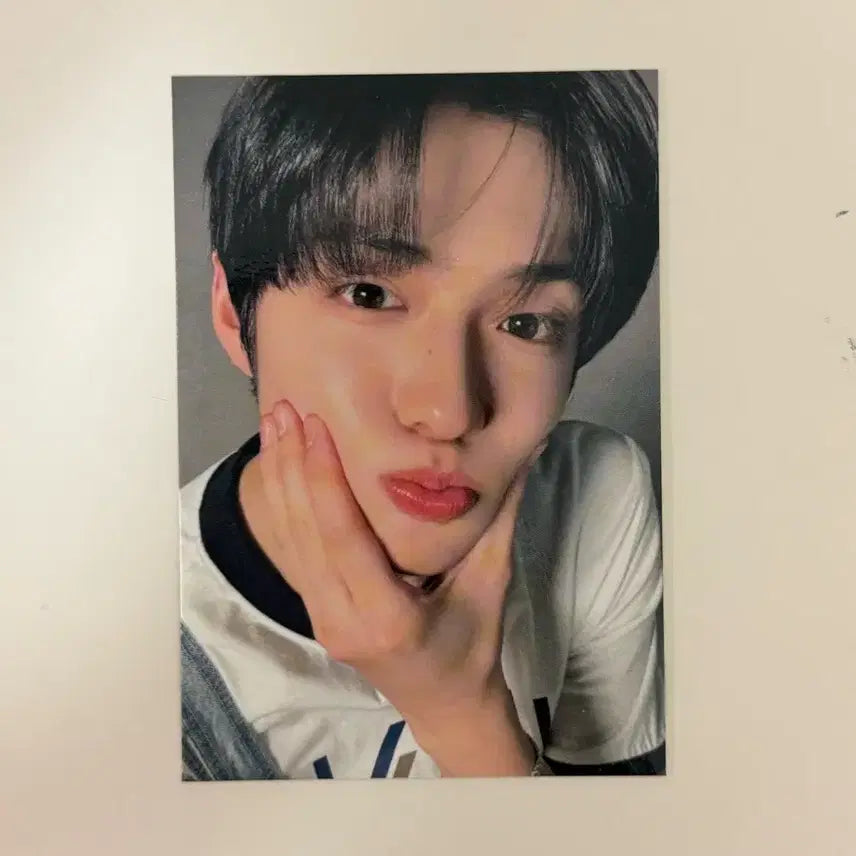 [BUNJANG] Bringgreen NORMALHYUN Photocard Set / 알파드라이브원 알디원 올리브영 브링그린 포카 정상현 단체 스티커 세트
