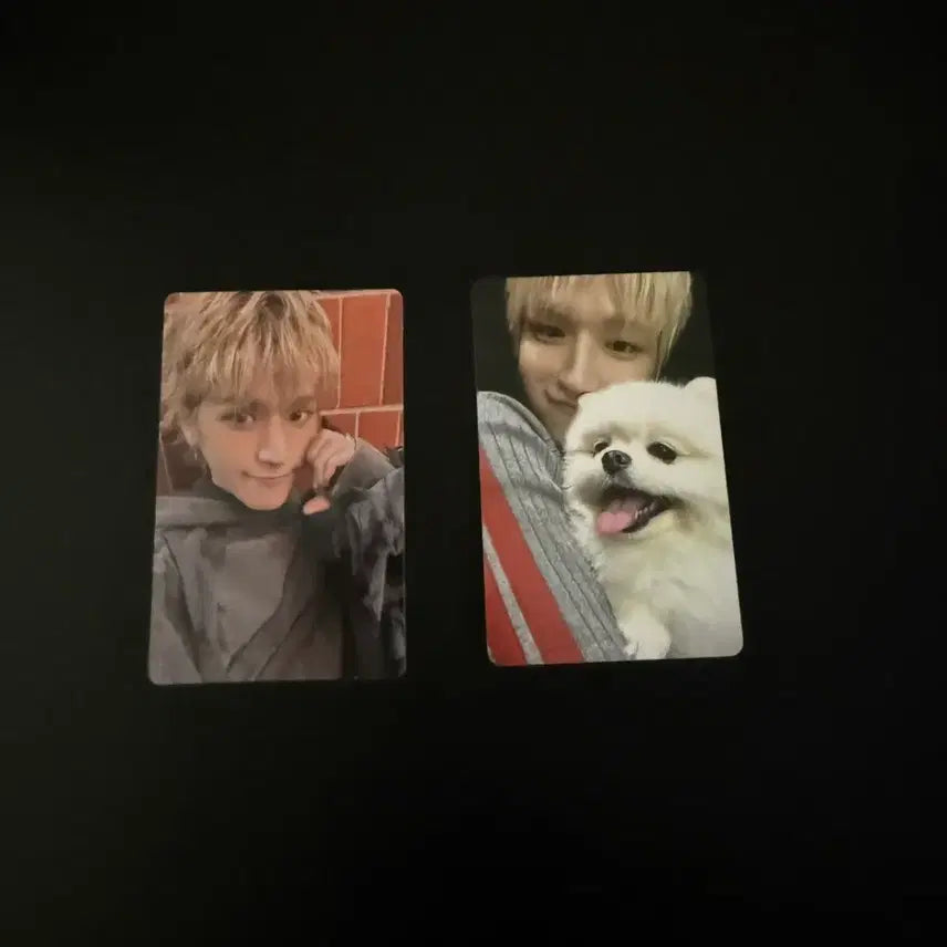 [SOLD OUT] 보넥도 홈 리우 위버스 포카 2장 일괄 home 보이넥스트도어