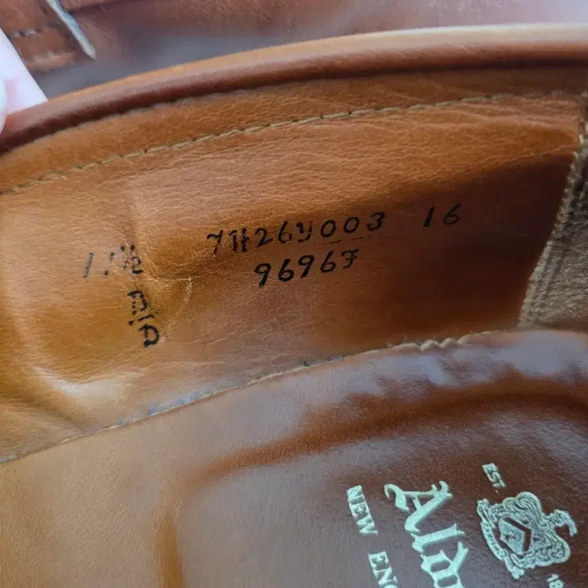 [SOLD OUT] Alden Penny Loafer 9696F 11.5 B/D