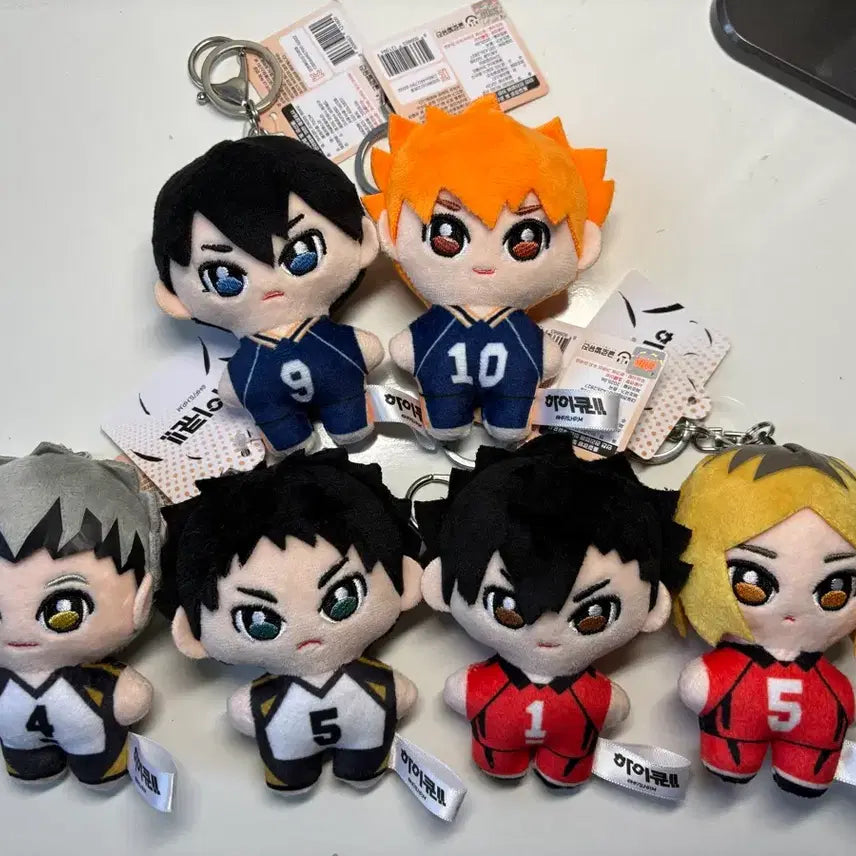 [BUNJANG] Haikyuu!! Full Set Character Keychains (Kageyama, Hinata, Kuroo, Kenma, Bokuto, Akaashi) / 하이큐 인형 키링 전종 일괄(카게야마 히나타 쿠로 켄마 보쿠토 아카아시)