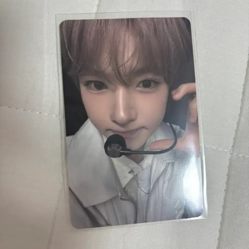 [SOLD OUT] 위시니니 미디엄 플러시 쿠션 사쿠야 팡팡니니 포카