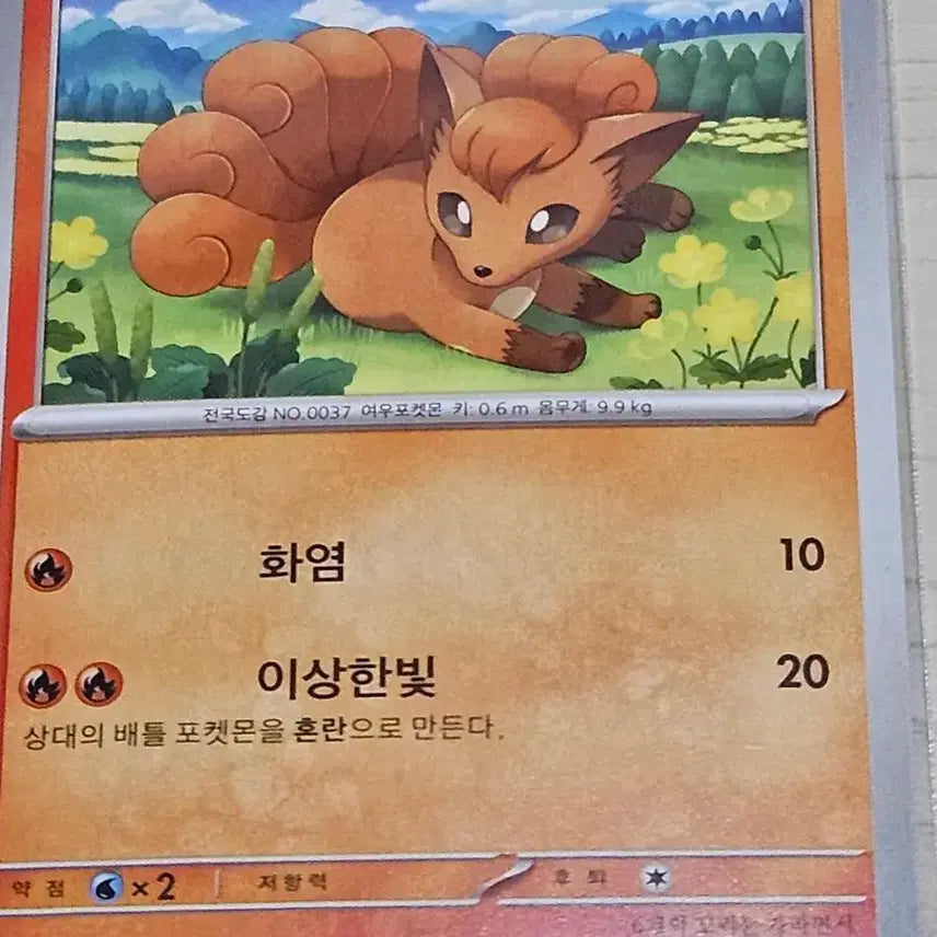 [BUNJANG] Pokemon Card Vulpix, Ninetales / 포켓몬 카드 식스테일, 나인테일