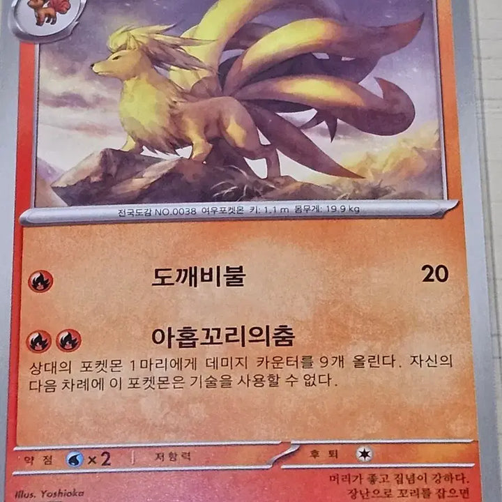 [BUNJANG] Pokemon Card Vulpix, Ninetales / 포켓몬 카드 식스테일, 나인테일
