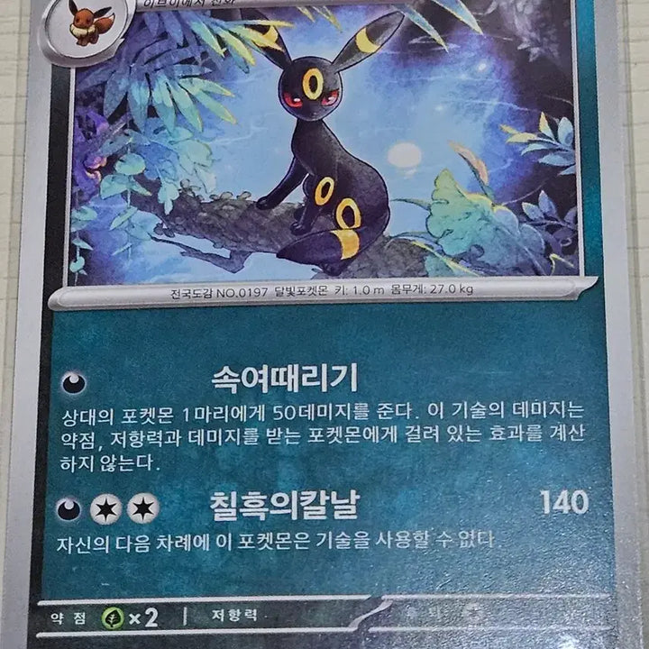[BUNJANG] Pokemon Card Eevee, Umbreon Bundle Set / 포켓몬 카드 이브이, 블래키